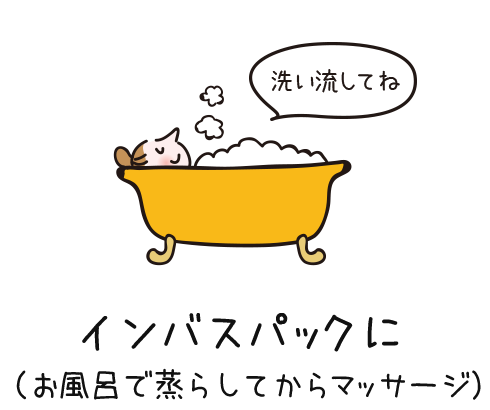 インバスパックに