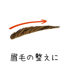 眉毛の整えに